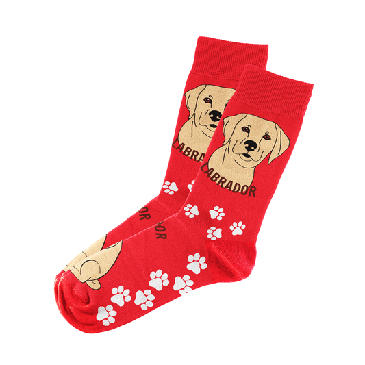 Labrador Socks Unisex Unique Fun Design