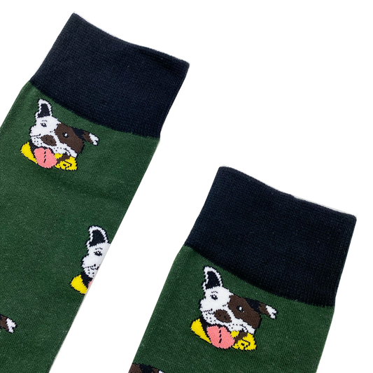 PIT BULL TERRIER Socks